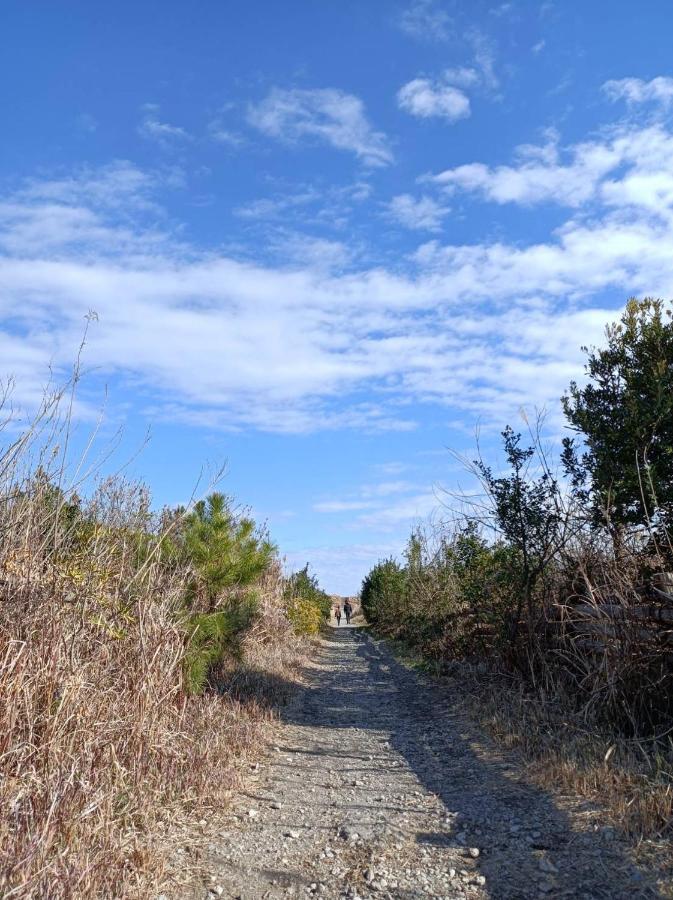 Kai Ichinomiya Villa Ichinomiya  Buitenkant foto
